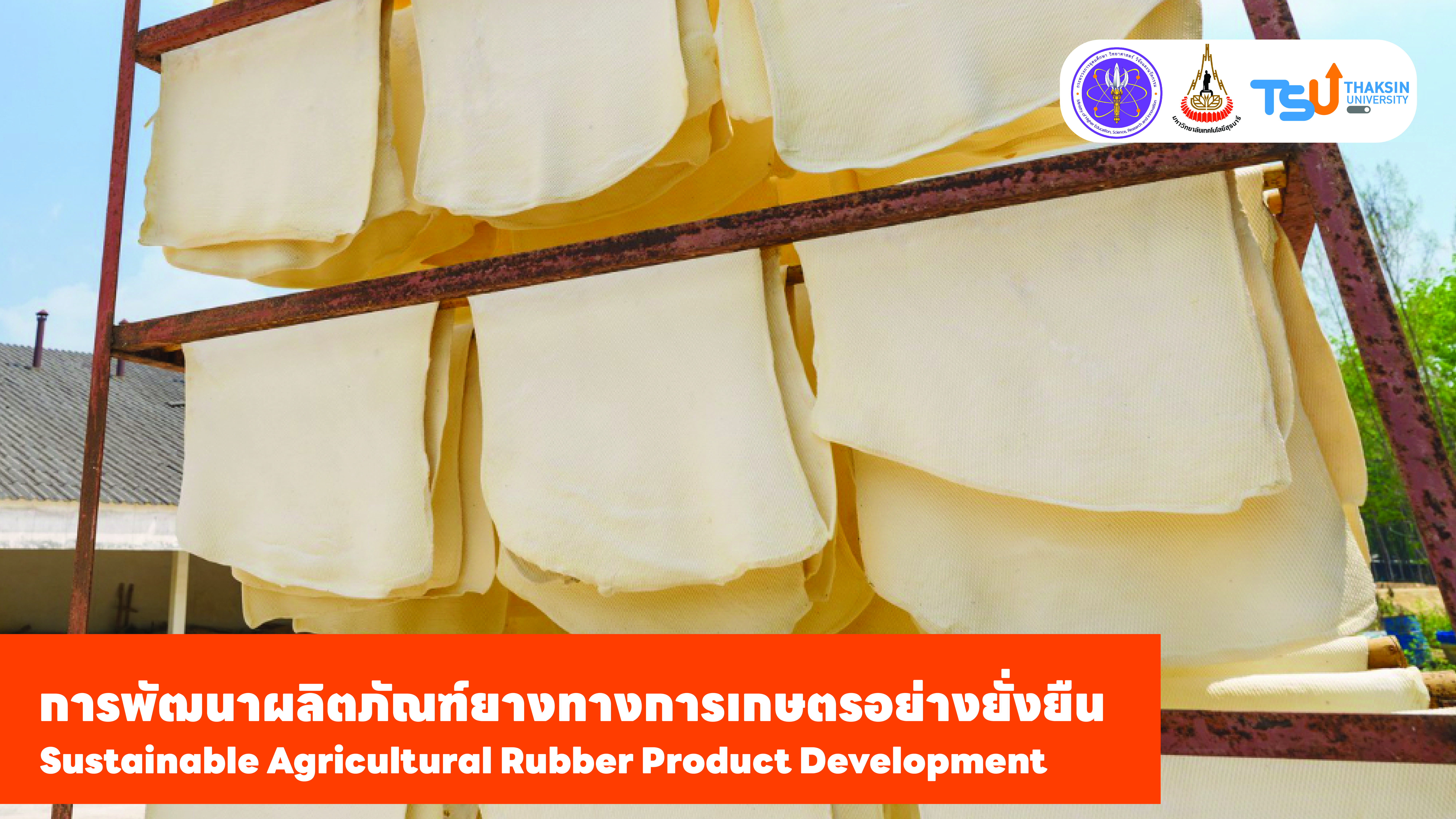 ภาพปกยาง